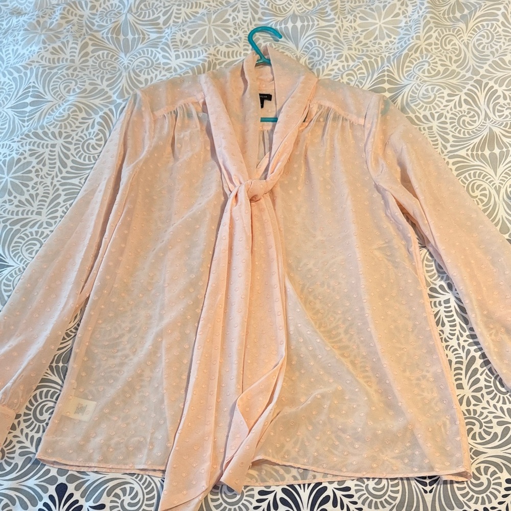 Ann Taylor Light Peach Blouse